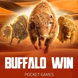 rs8 online casino buffalo win 108