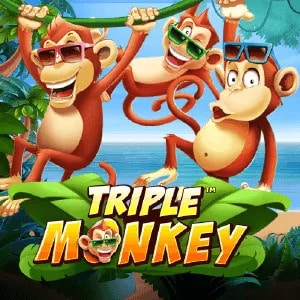 rs8 online casino triple monkey trpmnk